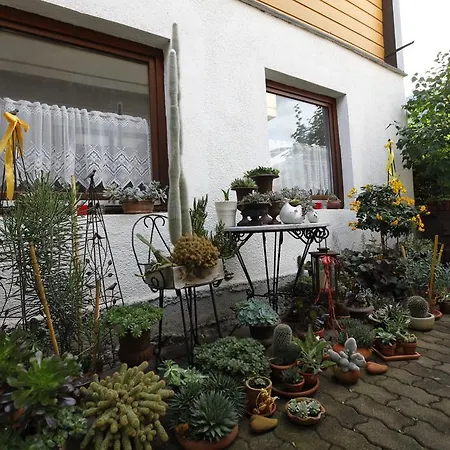 Dorf Cafe 3*